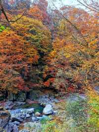 光霧山之米倉山景區