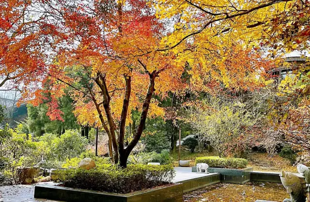 南昌也有自己的武功山！！梅嶺森林公園觀景台