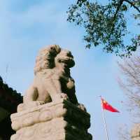 沈陽慈恩寺冬遊