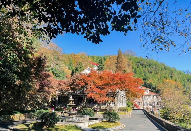 莫干山/莫干山的秋景，江浙滬深秋賞秋天花板！