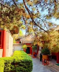 你的風追到了廣濟寺