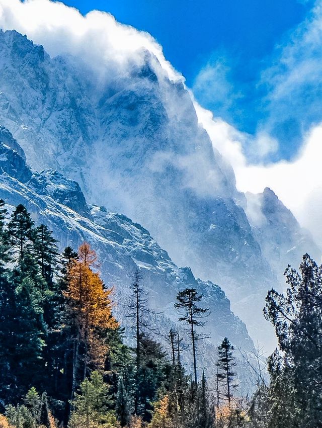不想去光霧山的，來這個小眾免費的彩林盛景