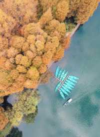 楊公堤，西湖三堤中深藏不露的風景如畫之地