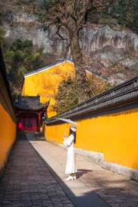 高鐵直達江南第一大佛寺拍周生如故同款避開人擠人