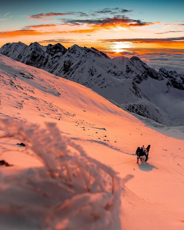 法國阿爾卑斯山冬日徒步之旅：雪中小徑的秘密