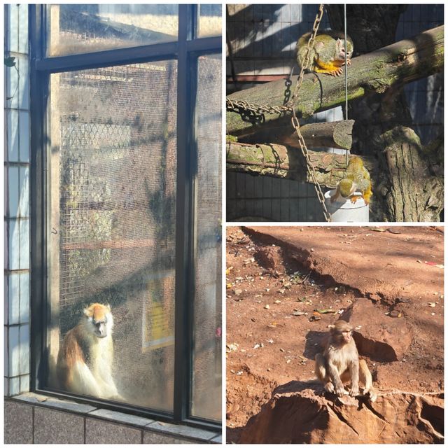 昆明動物園 | 這20塊花的超值