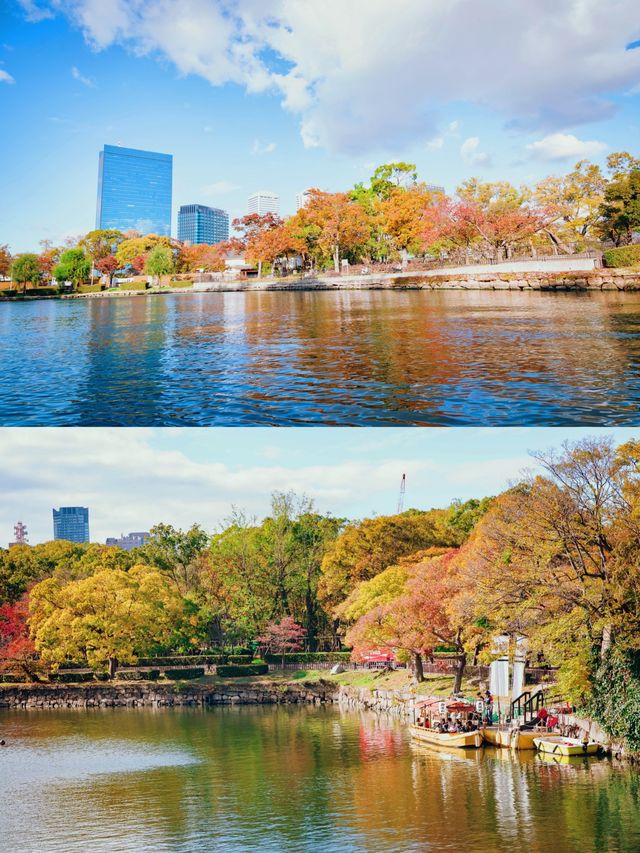 全球追秋|大阪城公園的五彩秋天
