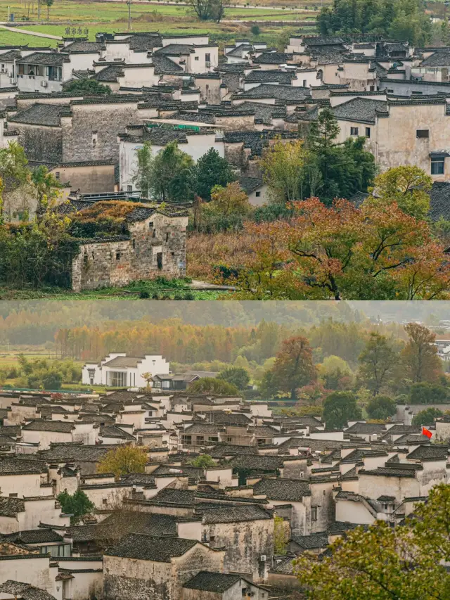 물가에서 휴식을 취하고, 산에 기대어 살아가는 시적인 루촌입니다