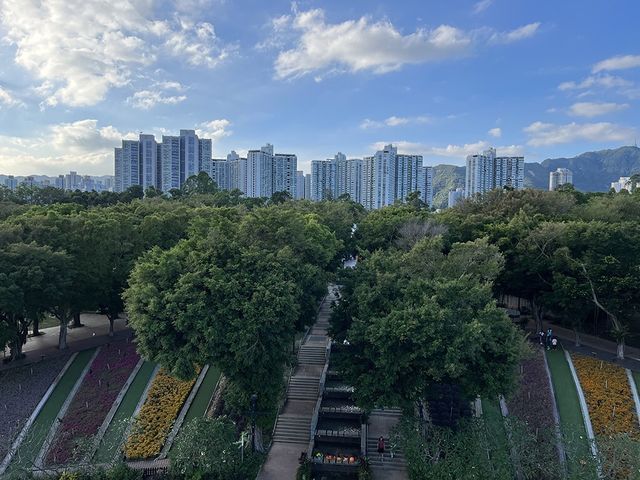 🇭🇰大埔海濱公園