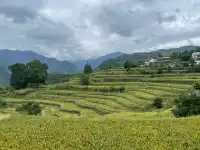 指南村 藏在臨安大山裡的寶藏村莊