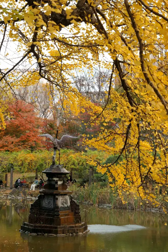 【戀戀銀杏季】日比谷公園：金色池塘立體畫