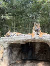 愛寶樂園野生動物園世界