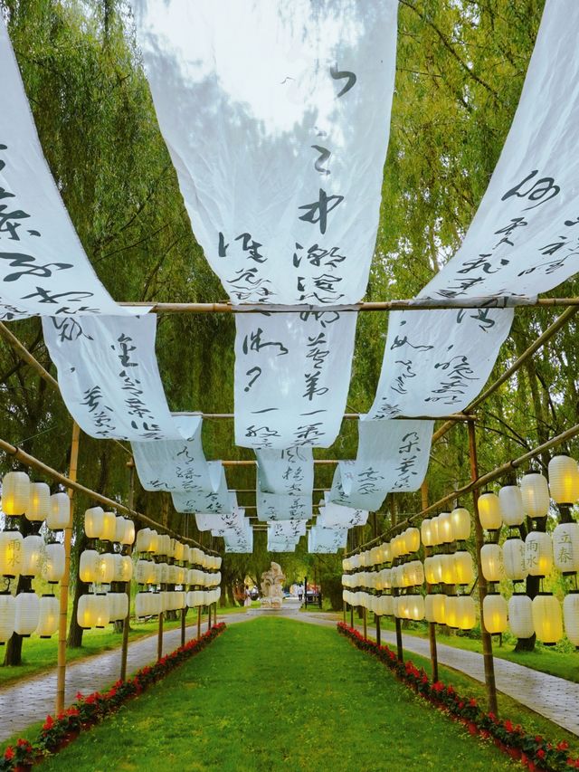 寶藏景點要火啦!南京周邊的秘境小森林