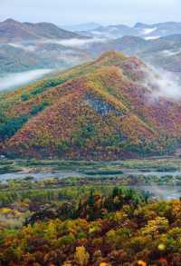 北卡秋天必遊——大煙山的楓葉就是最好的！