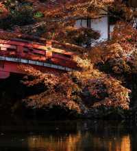 西安青龍寺