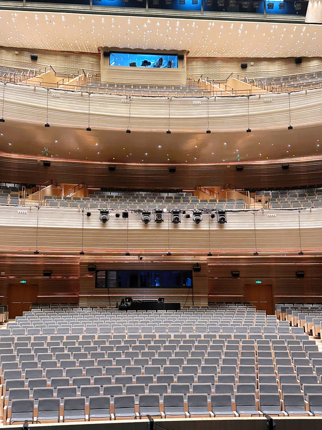 不愧是《劇院魅影2》,這波絕對穩了! 不愧是《劇院魅影2》,這波絕對穩了!