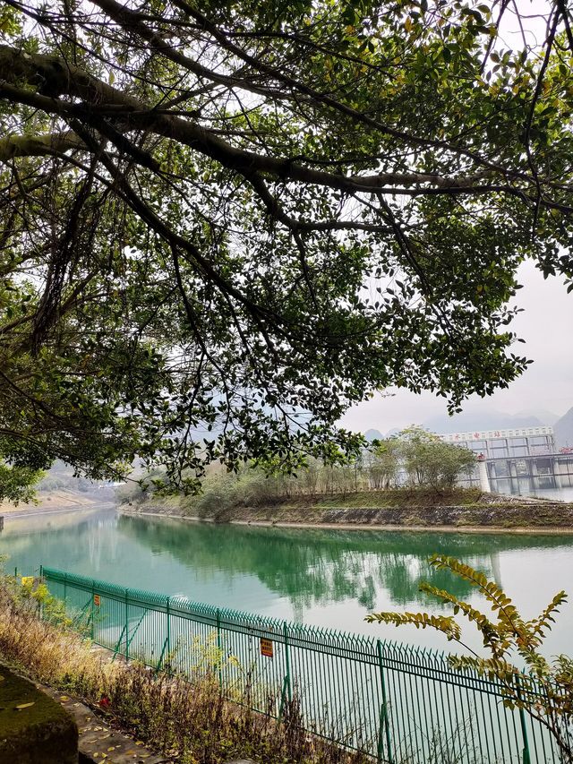 來賓忻城 | 樂灘竹海水電廠