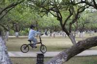 遛娃來了不止10次的公園非常適合騎行