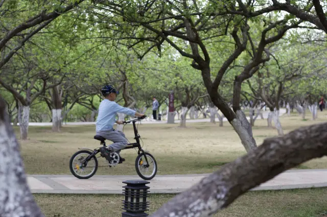 ินเล่นกับลูกมากกว่า 10 ครั้งที่สวนสาธารณะนี้เหมาะสำหรับการปั่นจักรยาน