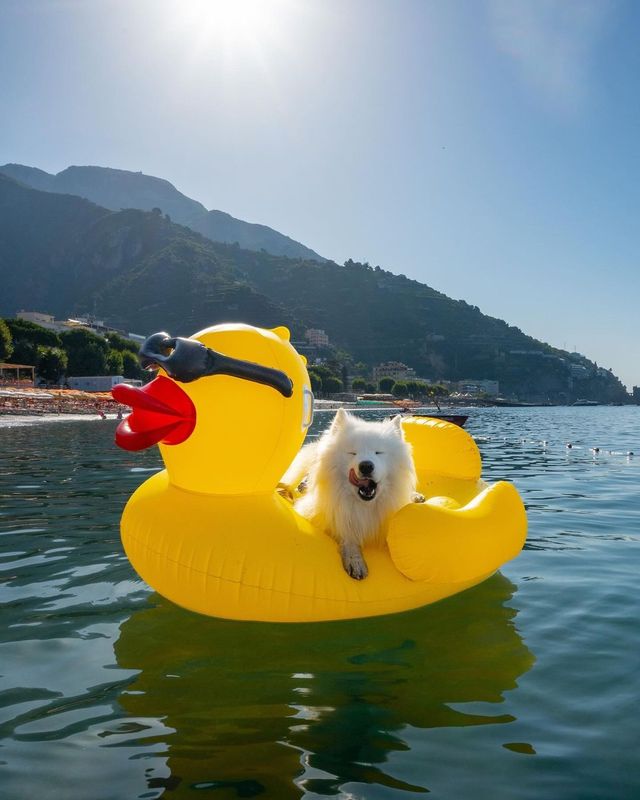 😎🐥 What are your favorite beach activities? Share your weekend plans and let's float into adventure together! 🌊☀️