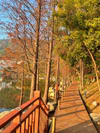 城市公園圖鑑｜廈門島內99％不知道的小眾秘境無濾鏡超美！