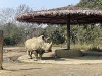 終於帶兒子來寧波野生動物園玩了