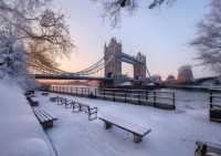 London's Winter 