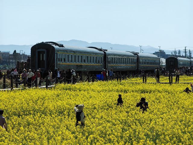 來沙堤村感受這趟開往春天的列車