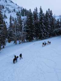 超贊體驗｜阿勒泰地區 · 新疆阿爾泰可可托海滑雪場
