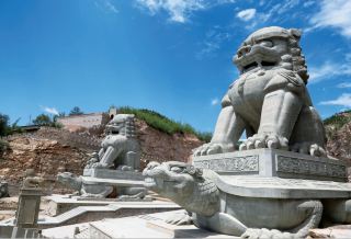 수이더 현 세계 첫 번째 사자입니다