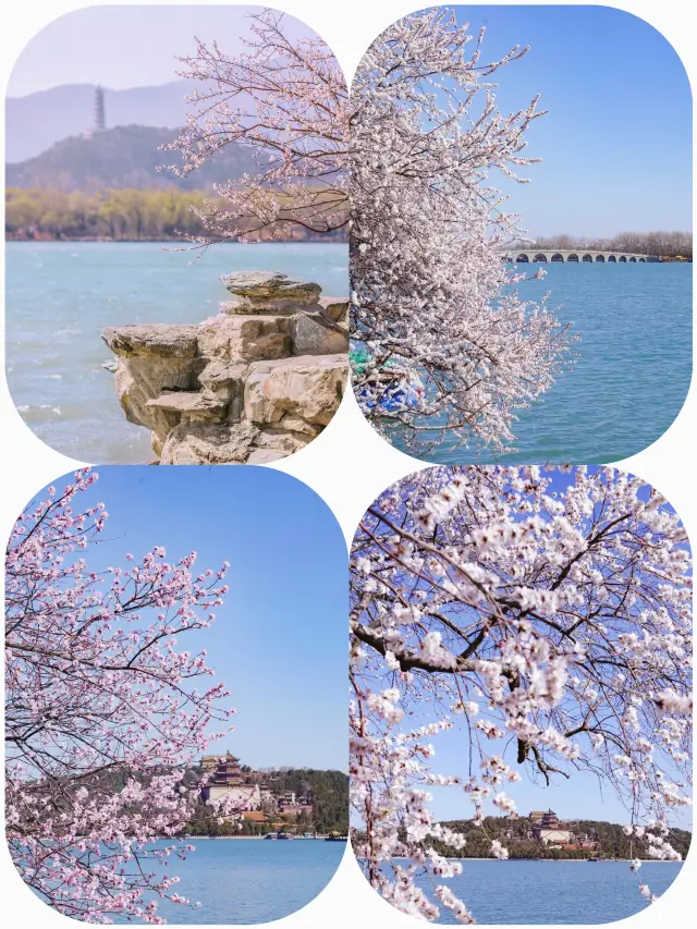 Life advice: be sure to visit the Summer Palace when the flowers are in bloom