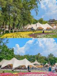 春日必去！西安興慶公園，帶你穿越千年尋古韻