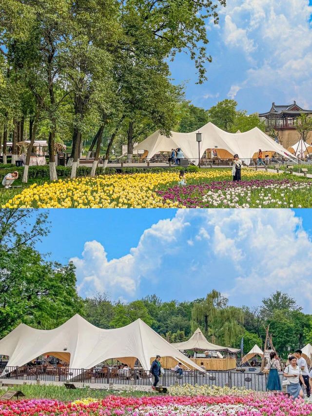 春日必去！西安興慶公園，帶你穿越千年尋古韻