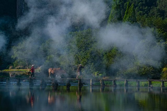 麗水仙都/與鳳行這麼火，何不去行雲小院坐坐~