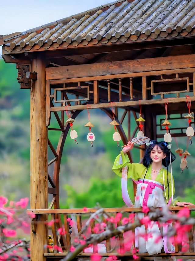 春日限定三月連州桃花開