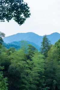 杭州靈隱寺｜祈福超靈驗的江南千年古剎