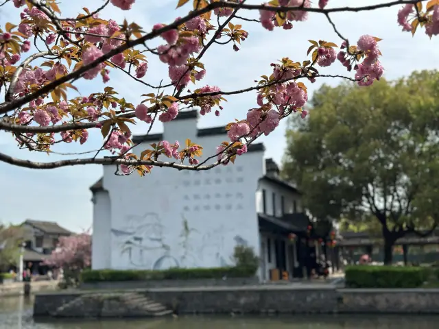 The spring scenery of Xitang