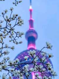 Flower Sea on The North Bund Shanghai ❤️🇨🇳