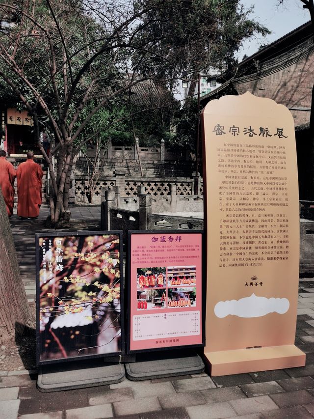 春日宜祈福來1600年猫猫寺廟賽博祈禱