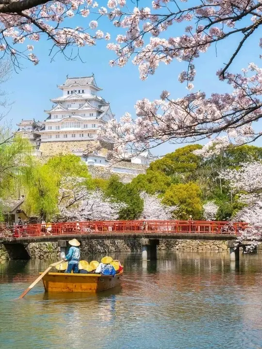 Beautiful Himeji Castle in Japan🇯🇵❤️