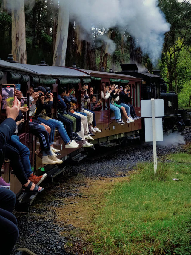 Puffing Billy Railway 🚂 Melbourne 🇦🇺