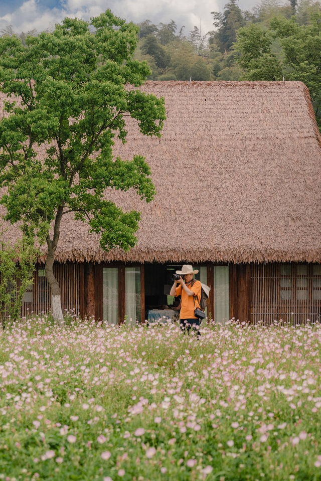 The early summer beauty of Liangzhu in Hangzhou is absolutely stunning, akin to the idyllic countryside depicted in comics.