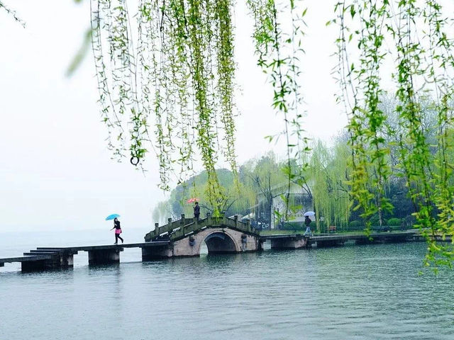 Spring Charm in Zhejiang's Hangzhou 🌸🏞️