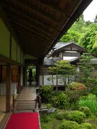 三千院 京都最值得來的地方 太美了