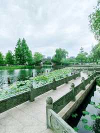 寧波日湖公園，亮點紛呈，值得一去再去