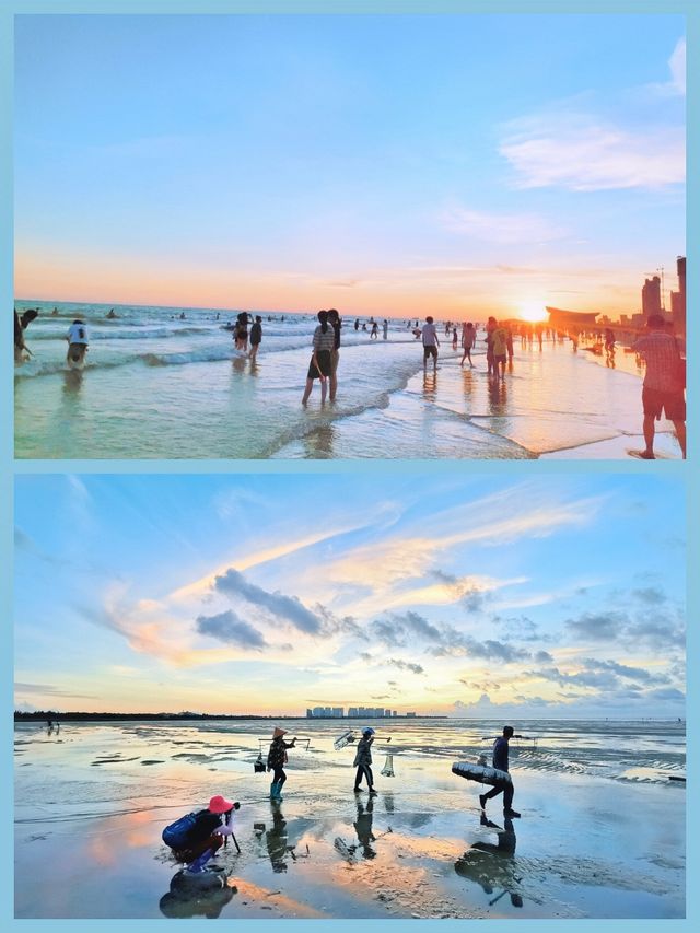 北海紅樹林必去趕海攻略：潮起潮落間的親子樂趣