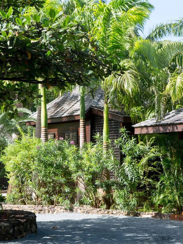 🌴🛏️ Antigua's Hidden Gem: Hermitage Bay Bliss 🌊