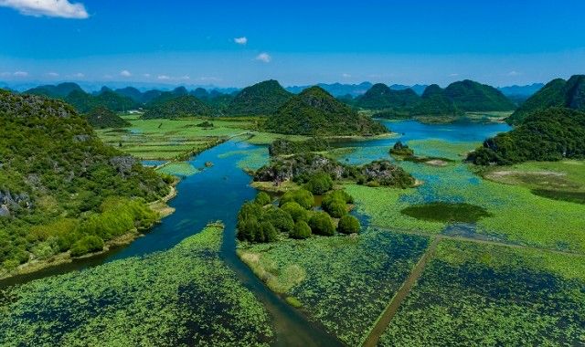 答應我，夏天一定要來一次普者黑！“接天蓮葉無窮碧”