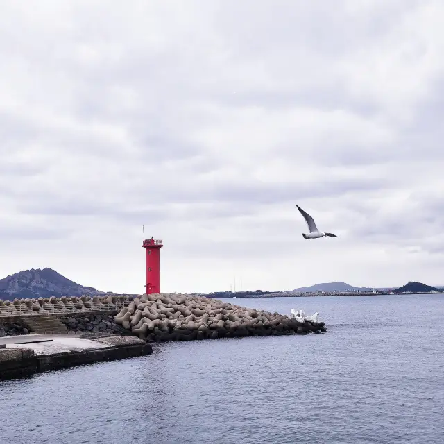Jeju Island on a Budget: 2K Per Person | Jeju Island is Worth Seeing!!!.
