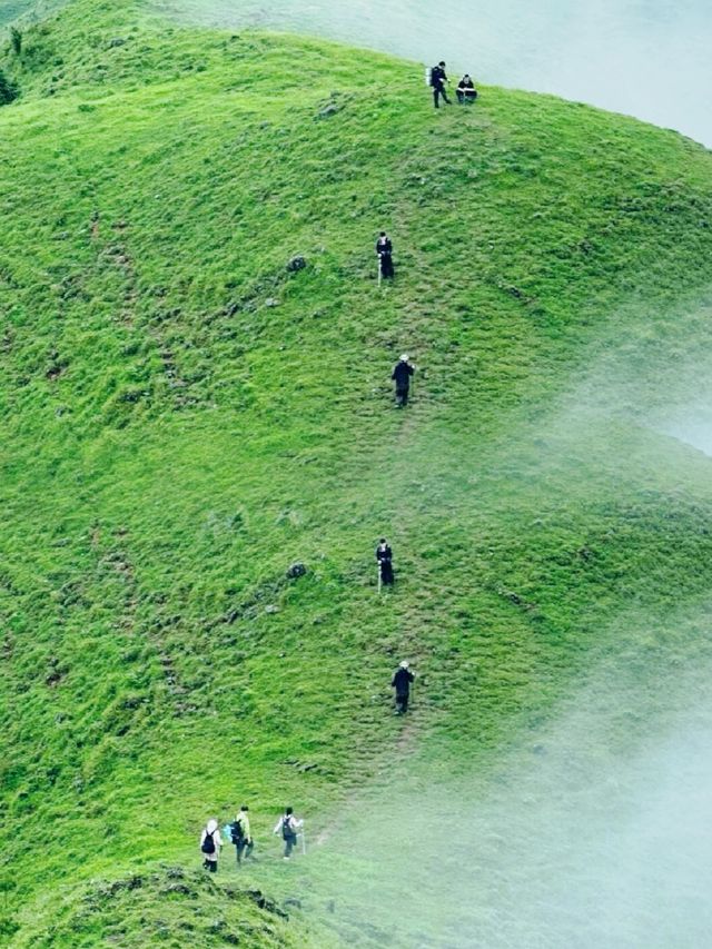 這裡既不是新疆，也不是武功山，是茂名三官山